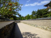 Street of
Hagi